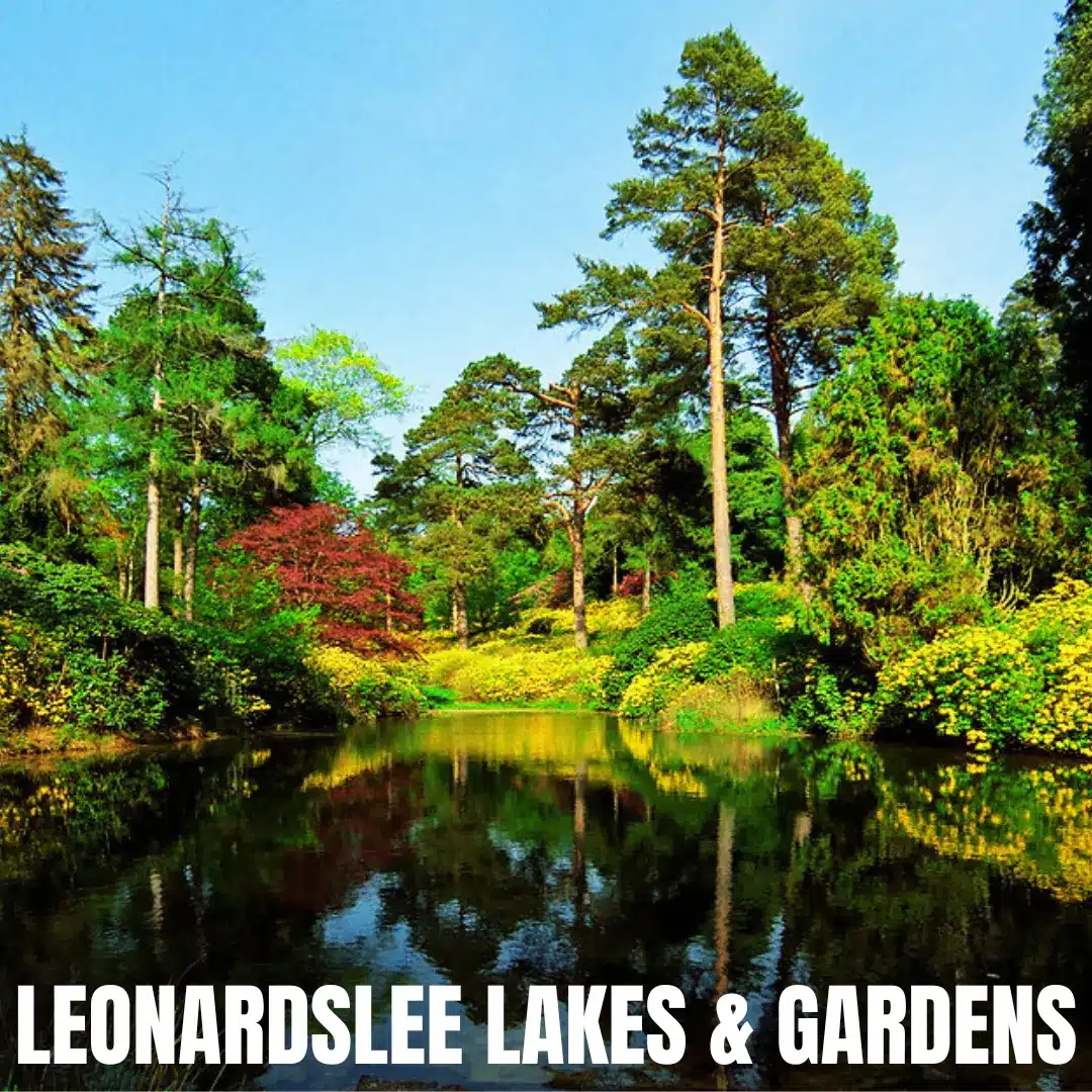 Leonardslee Lakes & Gardens